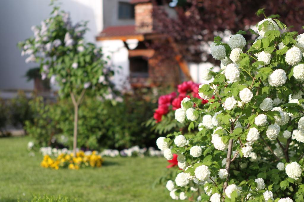 Gasthof Casa Jasmine
